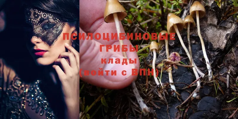 Псилоцибиновые грибы MAGIC MUSHROOMS  Макушино 